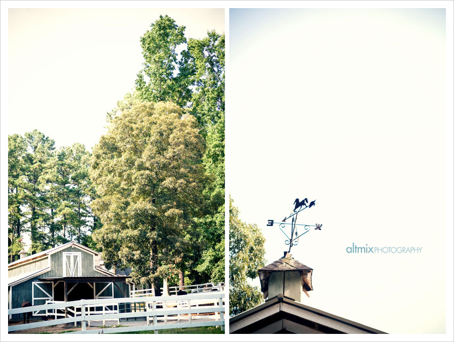 07_farm_engagement_pictures