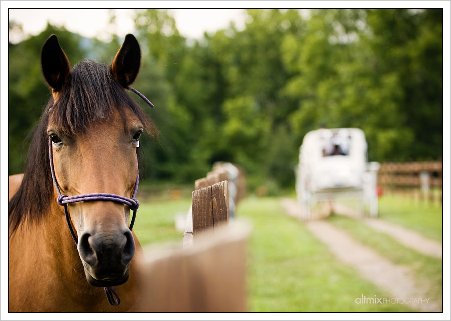 09_asheville_wedding