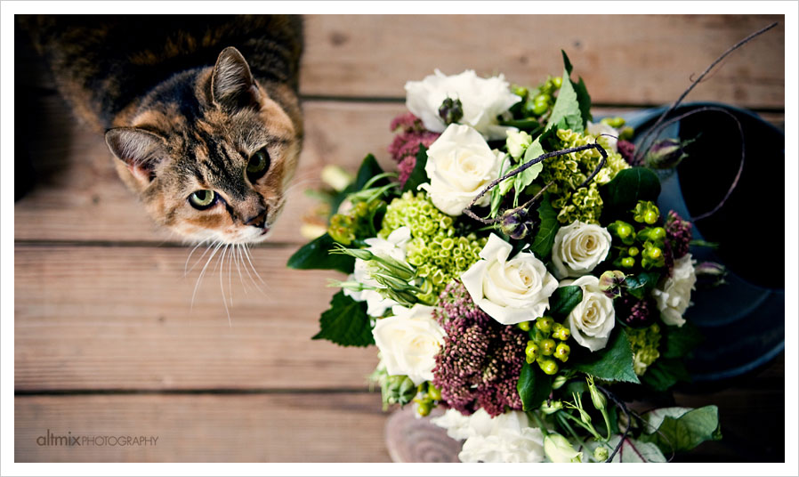 farm wedding 23 farm wedding 23