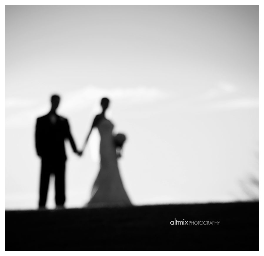 albany wedding photographers 10