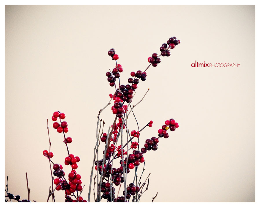 06_washington_wedding_photographers