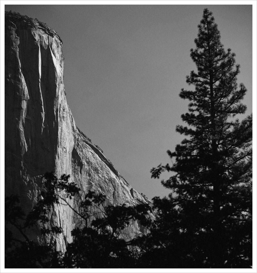 38_yosemite_wedding