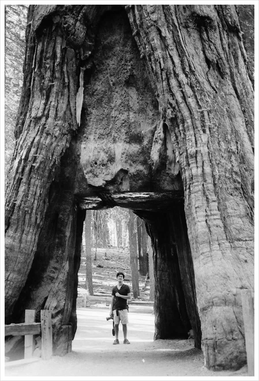 yosemite_on_film_01