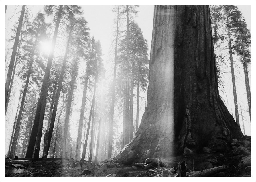 yosemite_on_film_02