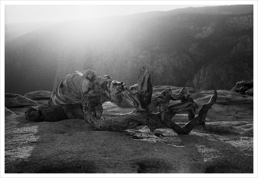 yosemite_on_film_03