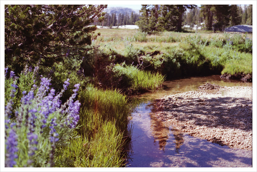 yosemite_on_film_12