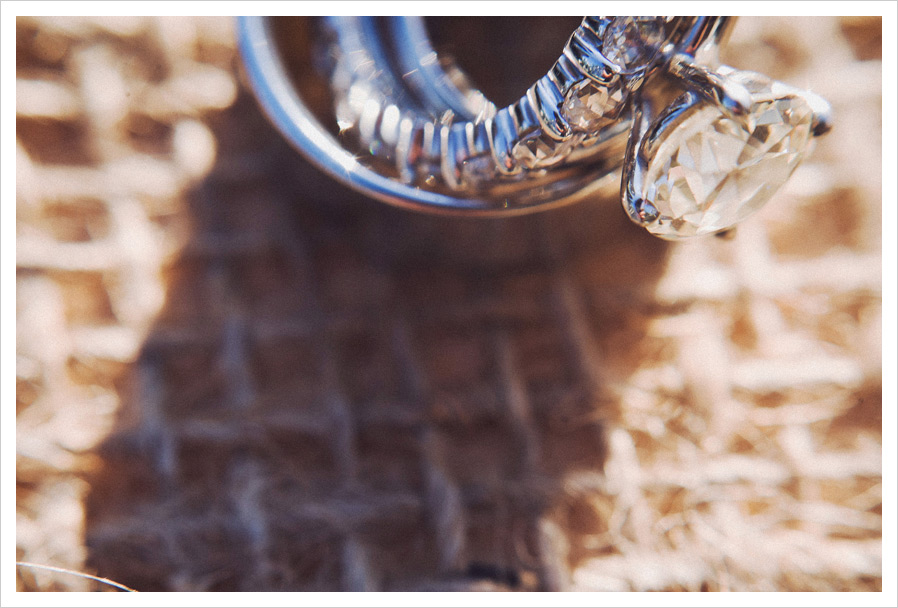 backyard wedding atlanta 12