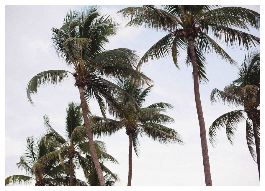 25 atlanta jewish weddings